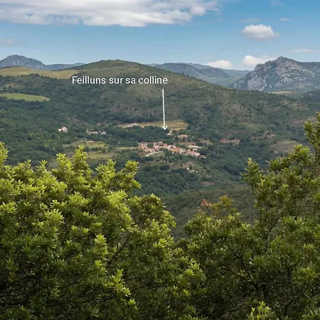Petit Nid Solaire - Vue Pyrénées