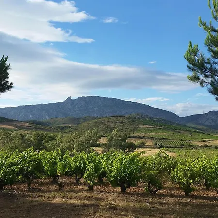 Appartement Petit Nid Solaire - Vue Pyrénées Felluns