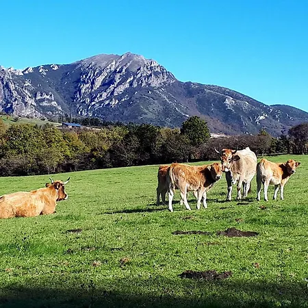 Petit Nid Solaire - Vue Pyrenees * Felluns